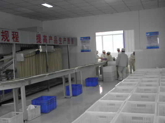 Çin Sağlıklı Tavuk Yumurtası Aroması Kurutulmuş Erişte İşleme Makinesi 12 Ay Garanti Tedarikçi