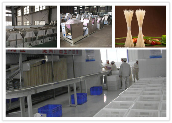 Çin Kurutulmuş Sopa, Taze Erişte Üretim Hattı Yapmak Kurutulmuş Erişte Için Sebze Erişte Makinesi Tedarikçi