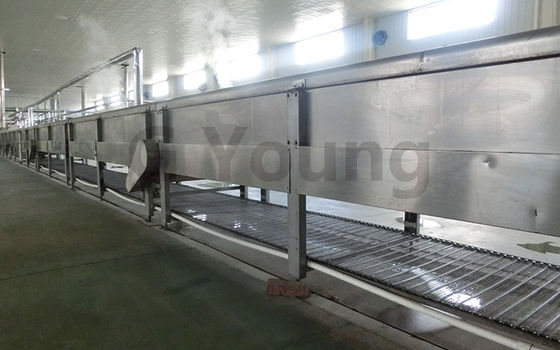 Çin Makine ve Kızarmış Erişte Üretim Hattı Yapımı Yüksek Teknoloji Tam Otomatik Erişte Tedarikçi