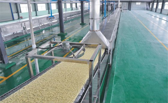 11000bags / 8h Kızartılmış Otomatik şehriye Yapma Makinesi Üretim Hattı Tedarikçi